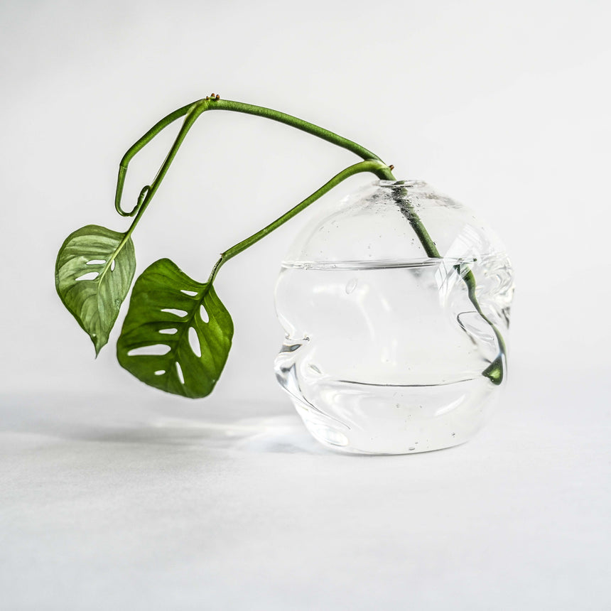 GoodBeast Design Bud Vase A (Clear) Clear Softie Bud Vase Hand Blown Glass in Vancouver Canada