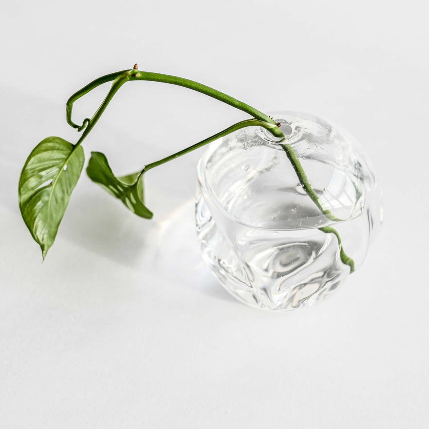 GoodBeast Design Bud Vase A (Clear) Clear Softie Bud Vase Hand Blown Glass in Vancouver Canada